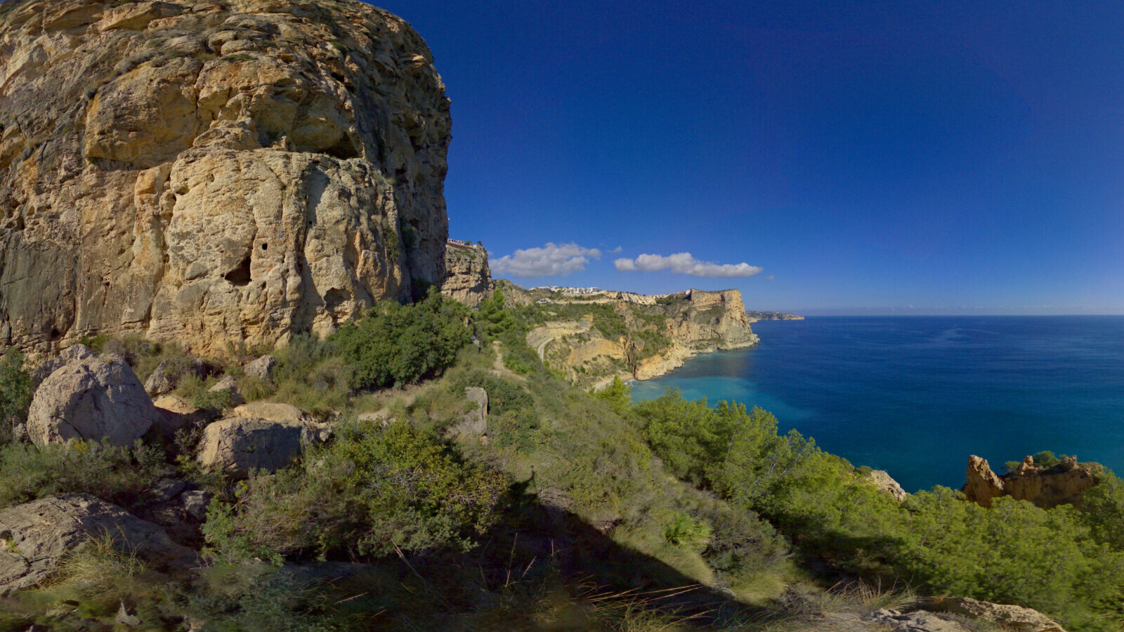 Vegetación y fauna de los acantilados, con especies adaptadas al viento, la sal y la roca.