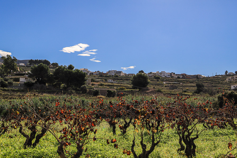 Calvario, Pinaret, Riu-Rau de la Torra — imagen pública